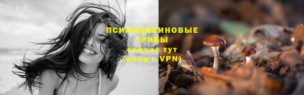 мдма Магас