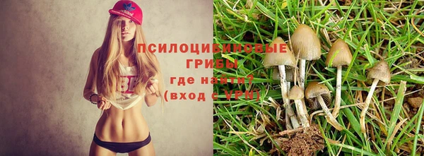 мдма Магас
