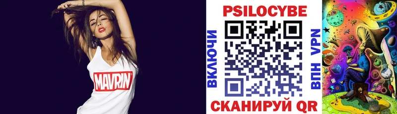 Купить где  Павловская  Галлюциногенные грибы Magic Shrooms 